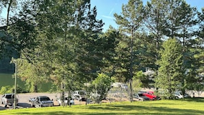 A grassy area with trees and parked vehicles.