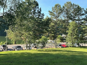 A grassy area with trees and parked vehicles.