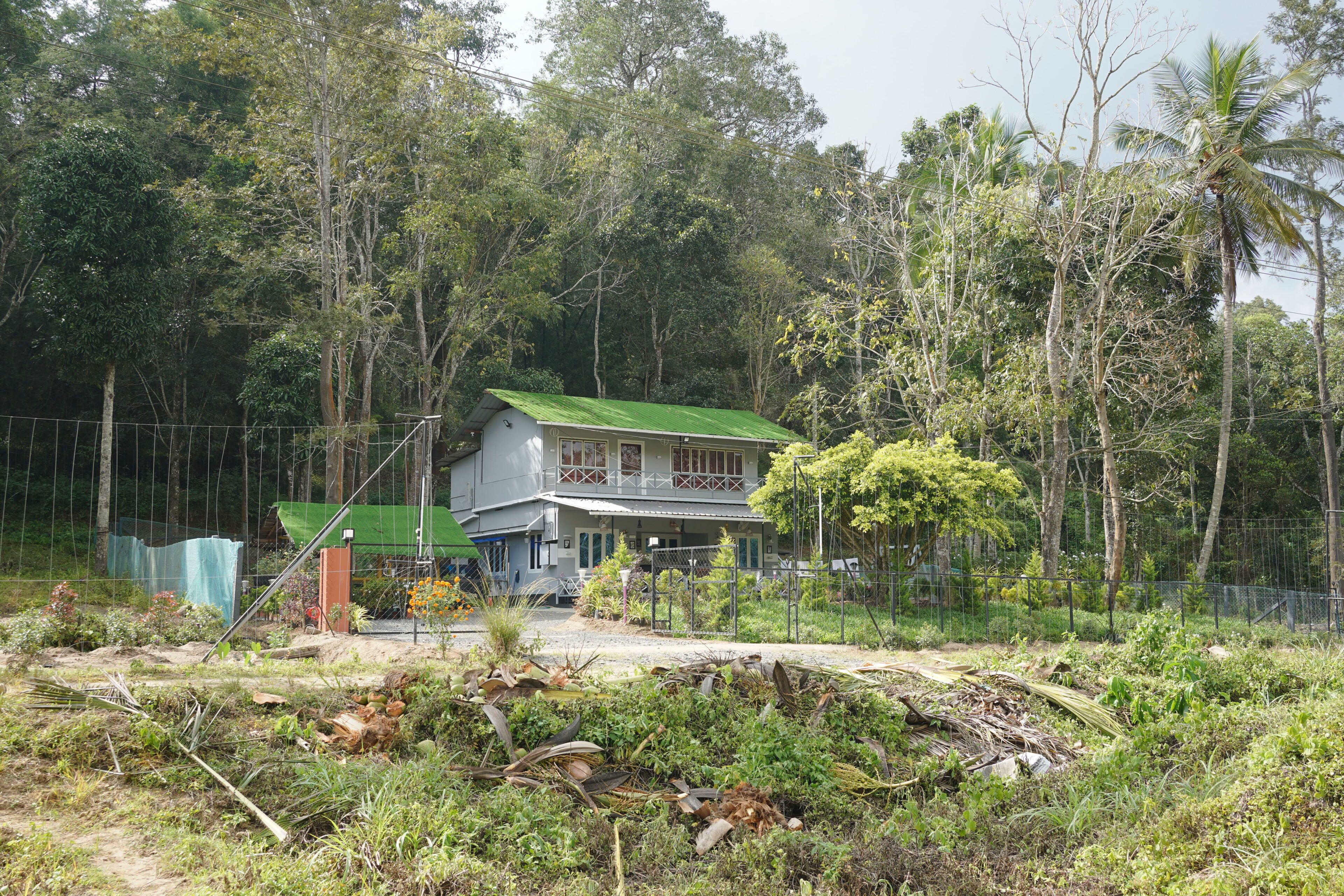 Uma casa com telhado verde, cercada por vegetação densa e um muro.