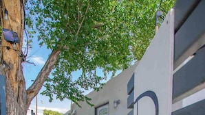 A gated entrance with a tree, a door, and a wall with a large letter 'B'. - ABQ Hub Studio - Old Town Gem! (Albuquerque)