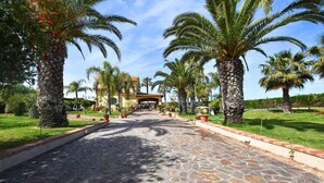 A paved pathway lined with palm trees leading to a building with a tiled roof. - Luxurious home in Partinico (Partinico)