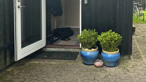 En träbyggnad med en glasdörr, en klocka och två krukväxter.