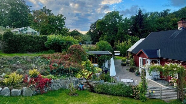 A garden with a greenhouse, a red building, and a stone wall. - Charming cottage in scenic Brösarp Österlen (Kivik)