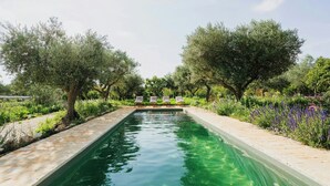 Una piscina rettangolare con acqua cristallina, circondata da un bordo in pietra e attrezzata con quattro lettini.