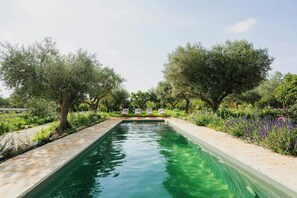 Pool - Puglian farmhouse near Alberobello trulli (Martina Franca)