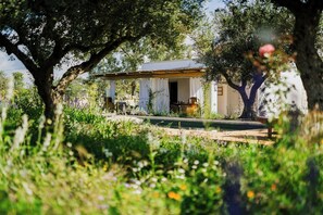 Property grounds - Puglian farmhouse near Alberobello trulli (Martina Franca)