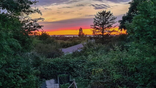 Un jardin avec un foyer, une végétation luxuriante et un coucher de soleil visible au loin.