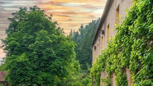 A rustic outdoor setting with a wooden table and white chairs, surrounded by lush greenery and a building with ivy. - Design apartment in the historic Mittermurnthal (Neunburg vorm Wald)