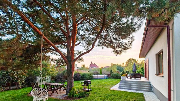 A backyard with a dining area, a barbecue grill, and a large tree.