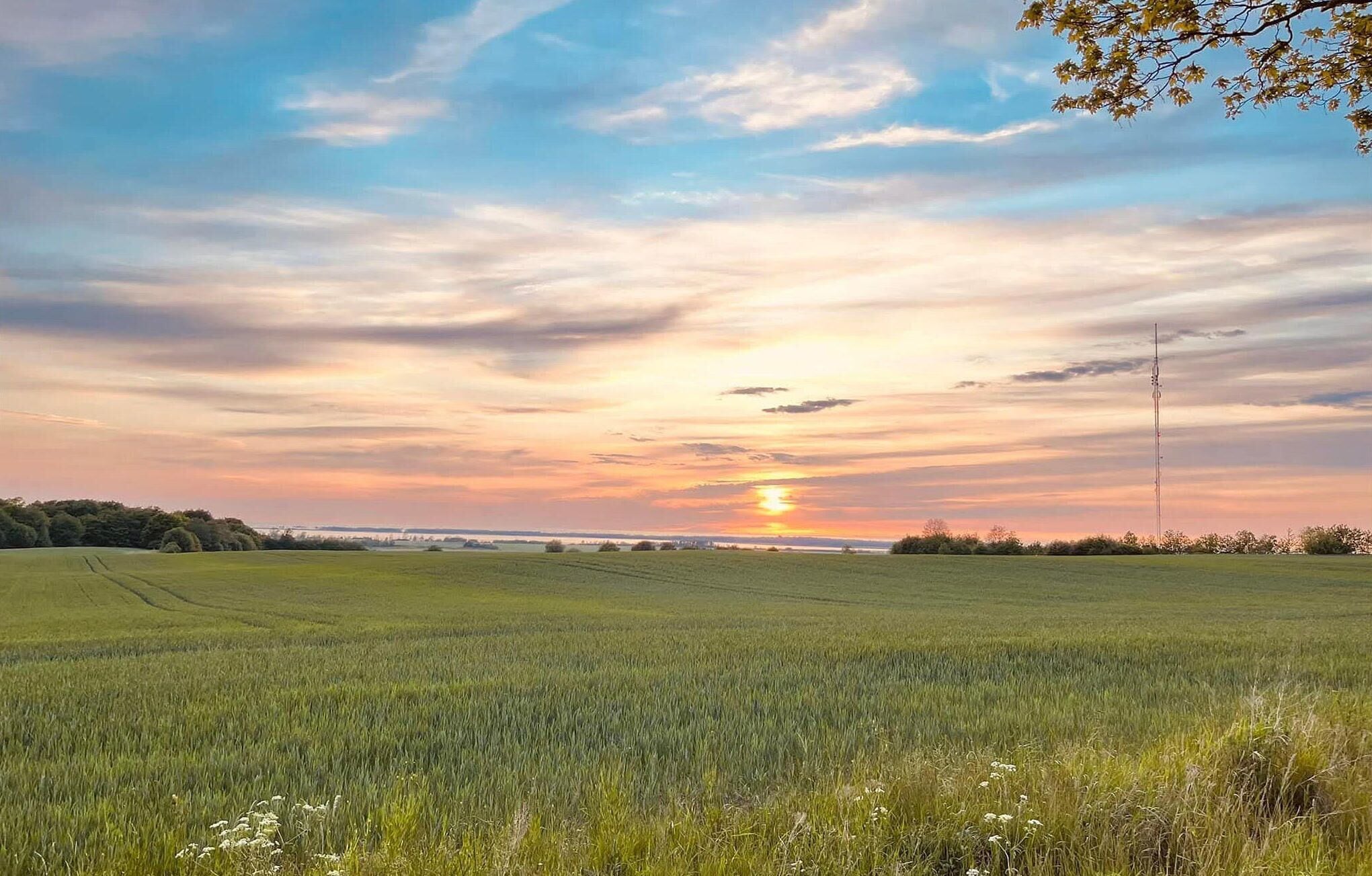 Een uitgestrekt veld met een heldere lucht en een verre horizon.