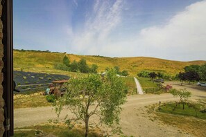 Property grounds - Lovely apartment with pool in Chianti (Montaione)
