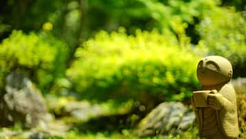 A statue in a natural setting.