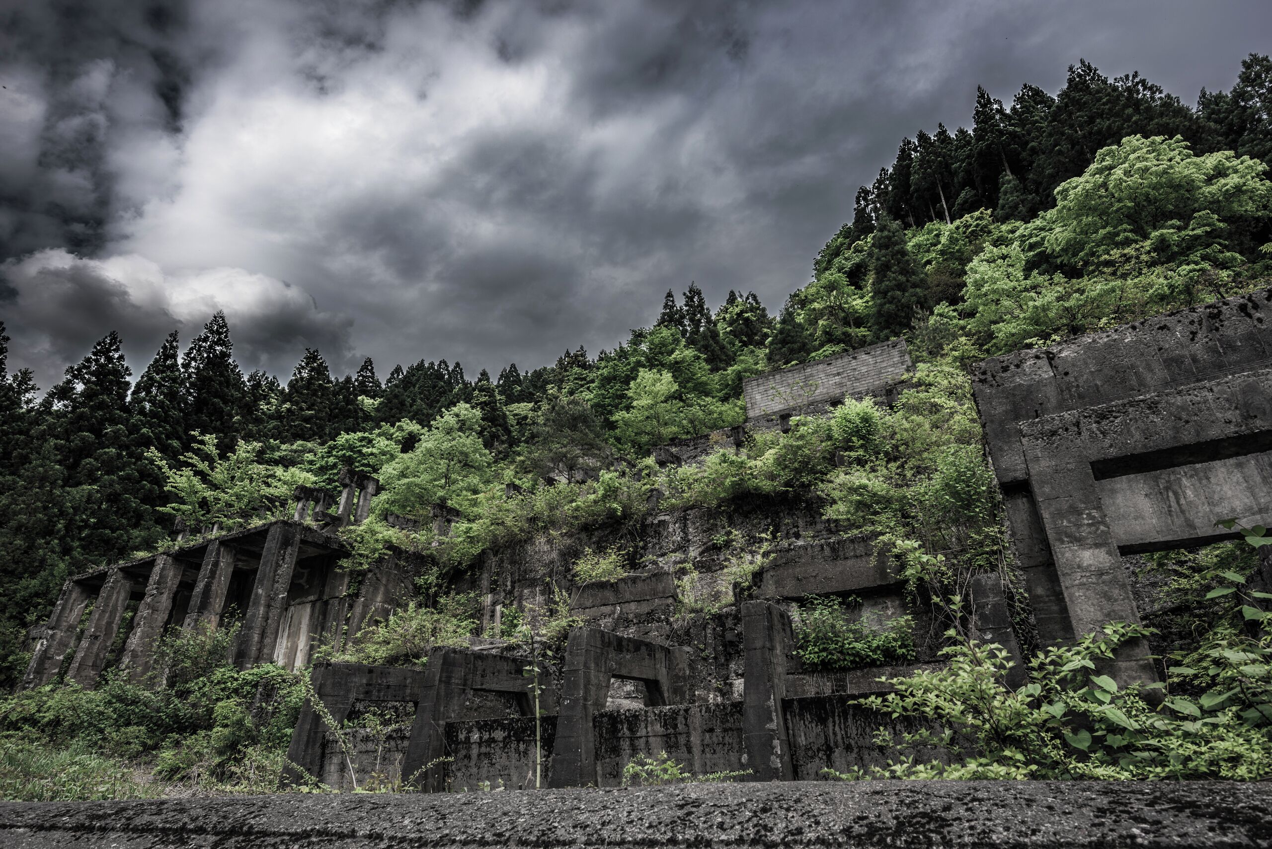 A dilapidated structure with overgrown vegetation, surrounded by dense forest.