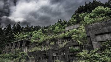 A dilapidated structure with overgrown vegetation, surrounded by dense forest.