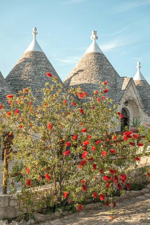 Property grounds - Historic trullo in Puglia (Ostuni)