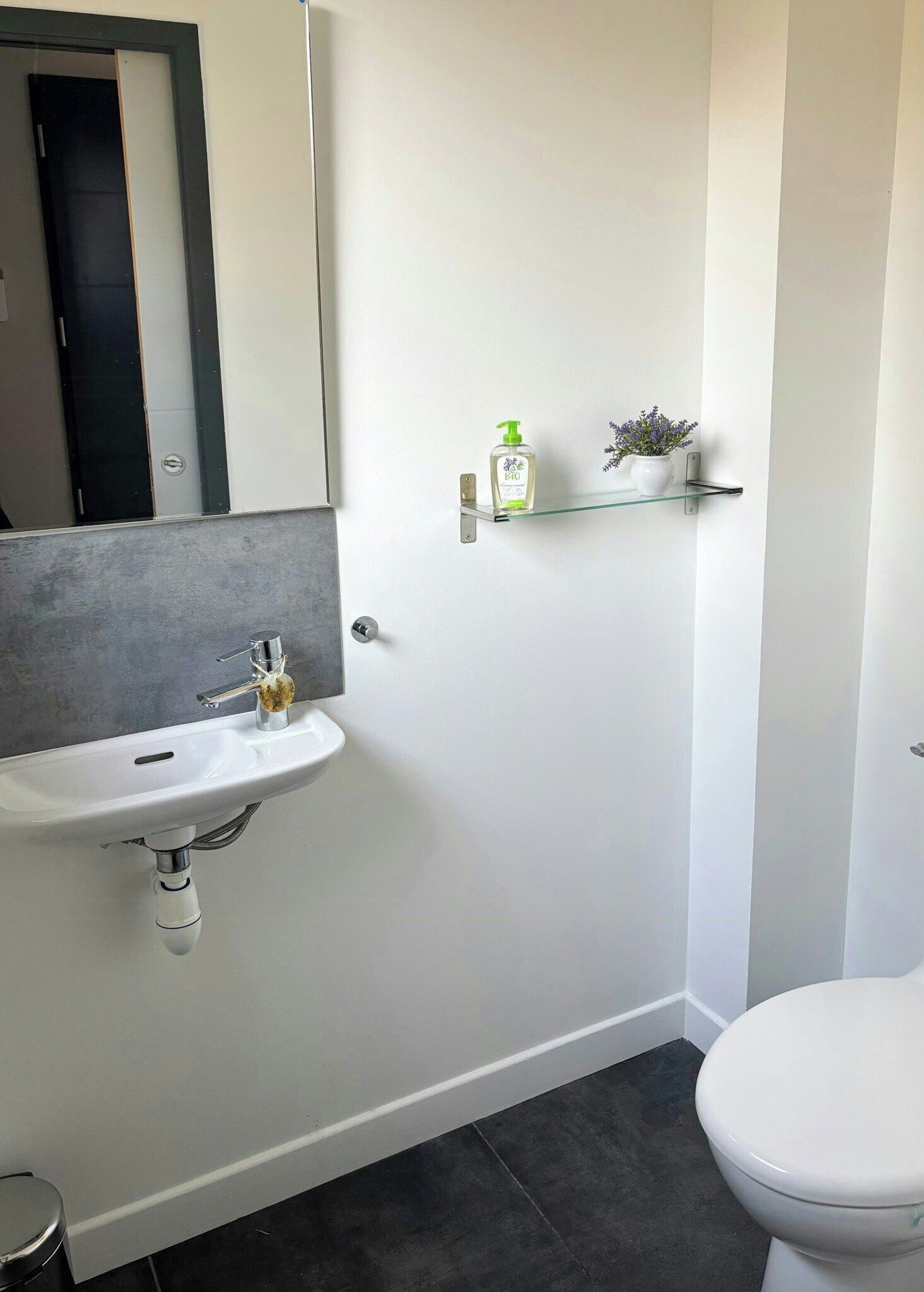 Une salle de bain avec un lavabo blanc, un miroir, des toilettes et une étagère en verre sur laquelle se trouvent une bouteille et une petite plante.