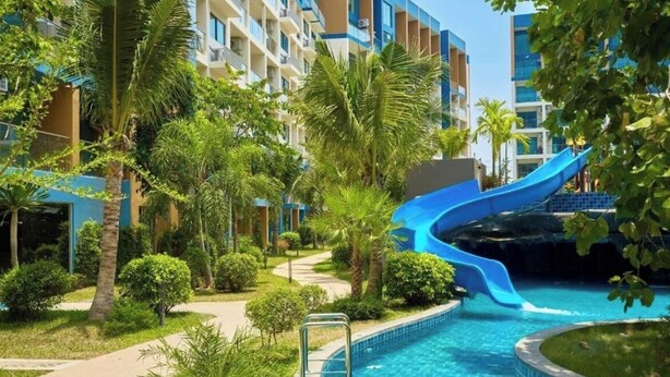 Una piscina amb tobogan blau, envoltada de palmeres i un camí.