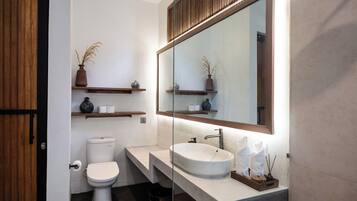 Shower, hair dryer, bidet, towels