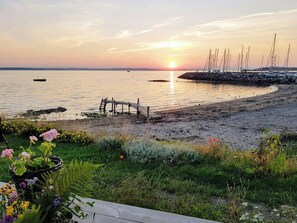 Ranta