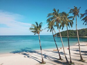 A beach with palm trees and clear blue water. - Serene 1-bedroom Apartment in Boracay With Pool Access (Boracay Island)