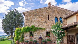 Edifici de pedra amb jardí, un arbre gran i cel serè.
