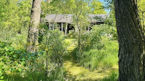 Ett skogsområde med en byggnad som har ett sluttande tak och en inglasad veranda.