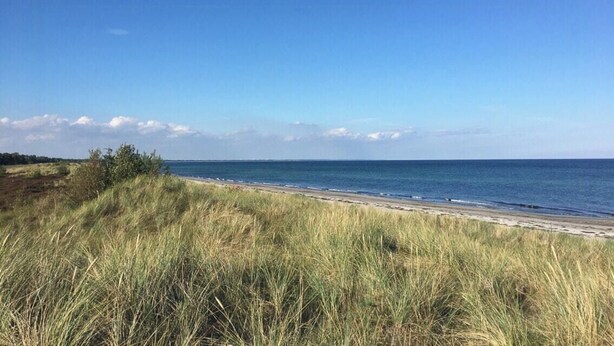 Una playa con dunas cubiertas de hierba y una vista despejada del océano.