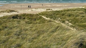 Ein Strand mit klarem Himmel, grasbewachsenen Dünen und einigen Spaziergängern.