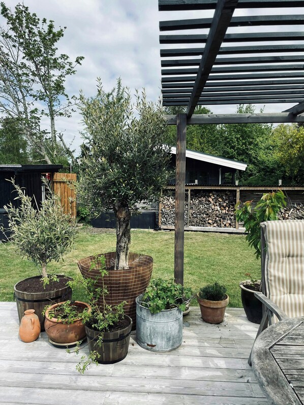 Puinen terassi, jossa on ruukuissa olevia kasveja, metallinen tuoli ja pergola.