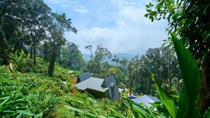 Una casa ubicada entre abundante vegetación, con vista despejada al bosque circundante y montañas distantes.