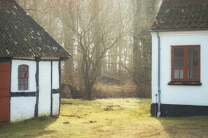 Property grounds - Cattle and horses at Lundstedet at Skovsgaard (Rudkøbing)