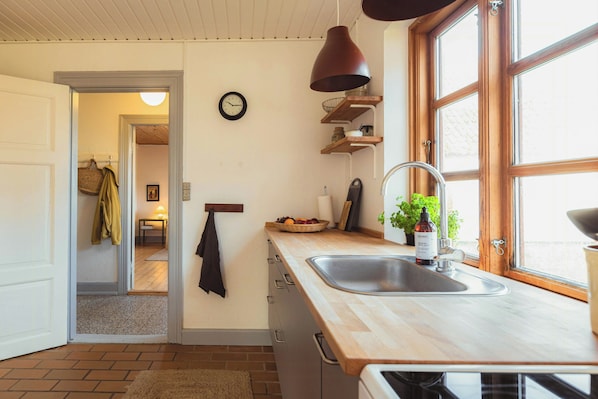 Oven, coffee/tea maker - Cattle and horses at Lundstedet at Skovsgaard (Rudkøbing)