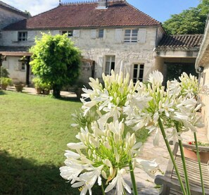 Property grounds - Stone manor house in Quercy (Belvèze)
