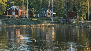 Una propiedad frente al lago con varias cabañas, un muelle y un bosque al fondo.