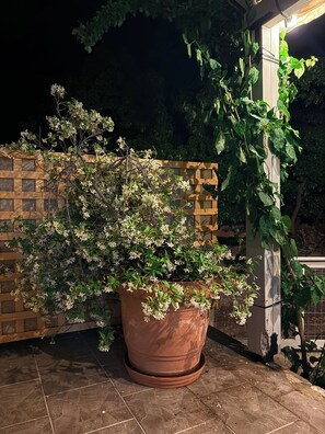 A large terracotta pot with flowering plants, a wooden lattice fence, and a concrete pillar.