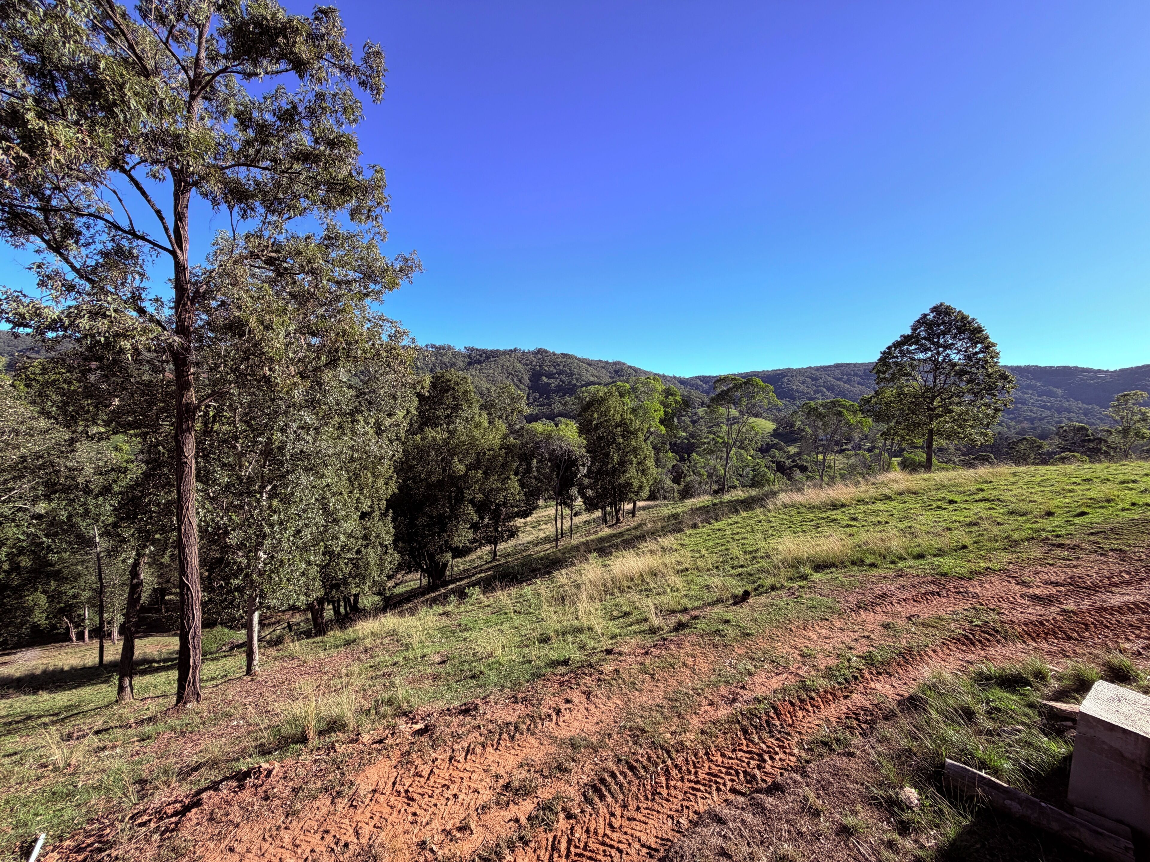 Ländliche Landschaft mit Bäumen, einem Feldweg und hügeliger Kulisse.