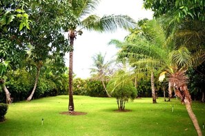 Property grounds - Cana Life Luxury | Villa Cueva (Punta Cana)