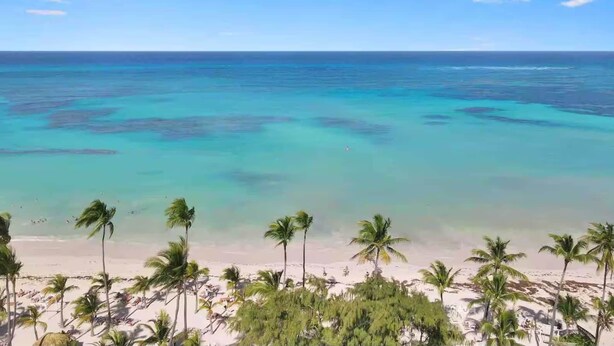 Una playa con aguas turquesas cristalinas, palmeras y una orilla arenosa.