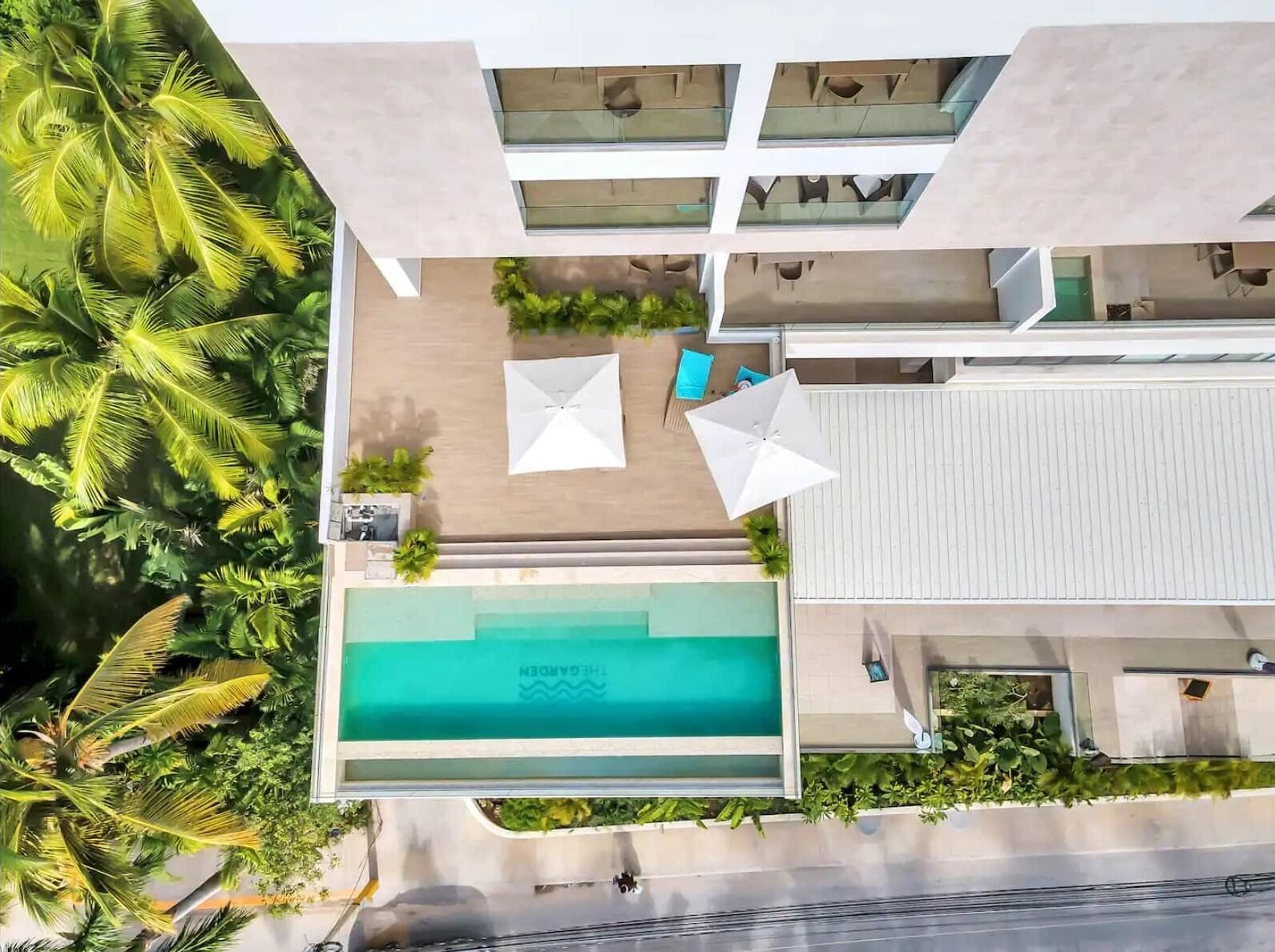 Une piscine sur le toit offrant une vue sur les palmiers, un espace détente avec des parasols et une architecture moderne.