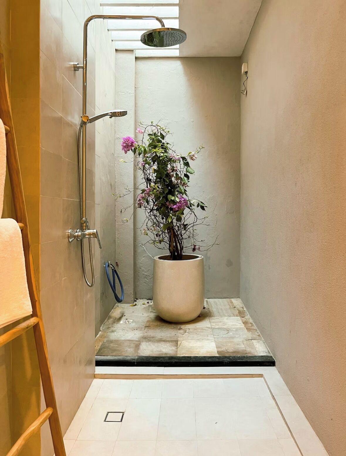 Une douche équipée d’un pommeau de douche amovible, une plante en pot et une échelle en bois.