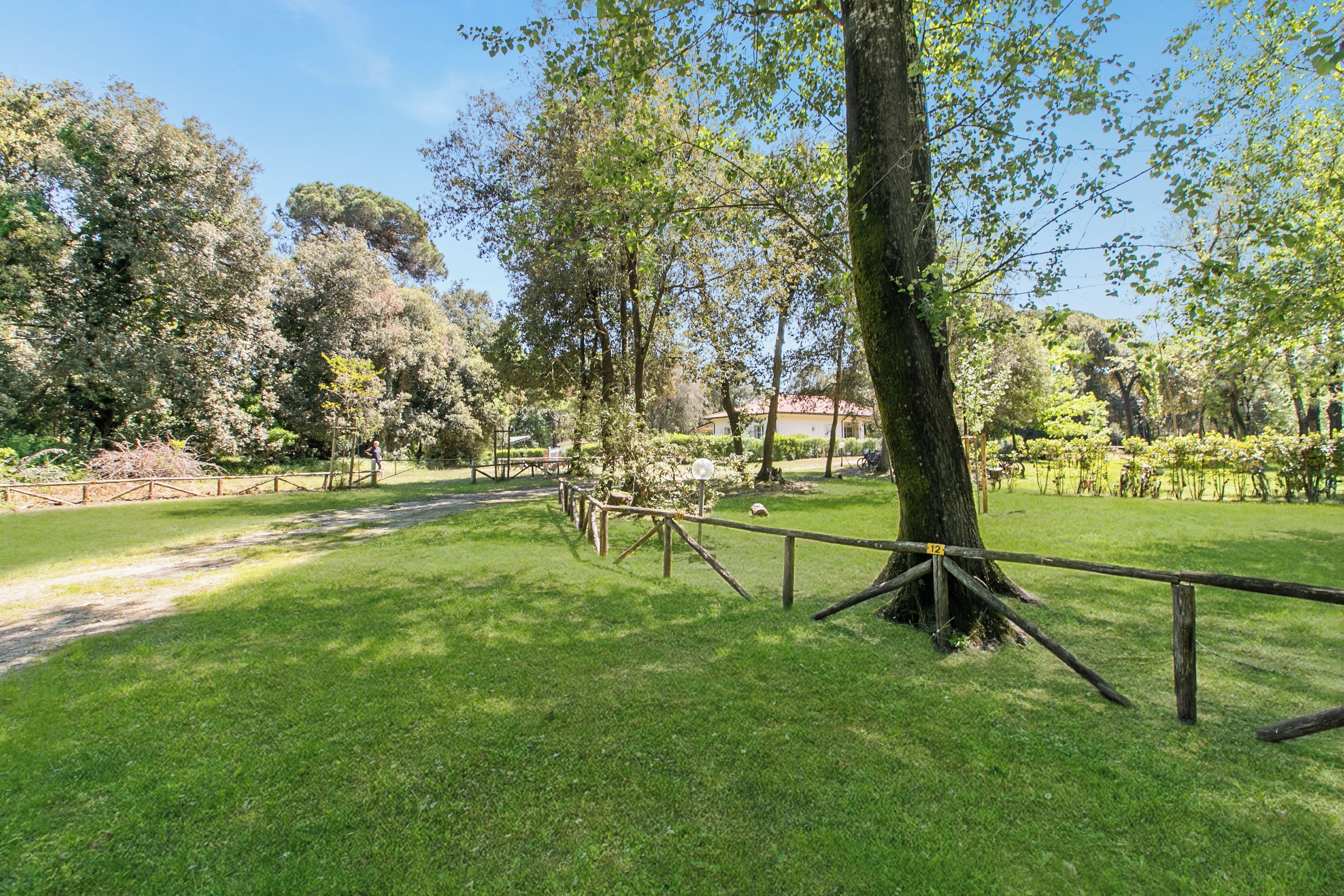 A grassy area with a wooden fence, trees, and a clear sky.