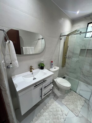 Shower, towels, soap, toilet paper - Charming 1-bedroom apartment with AC in Samana (Samana)