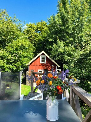 Terrace/patio - Traditional cottage near Linné's Råshult (Diö)