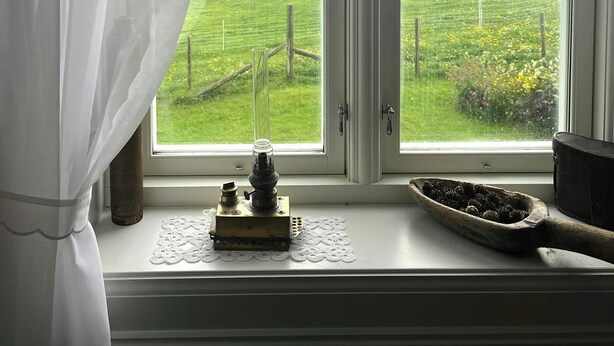 Uklassifisert bilde, 1 av 41, knapp