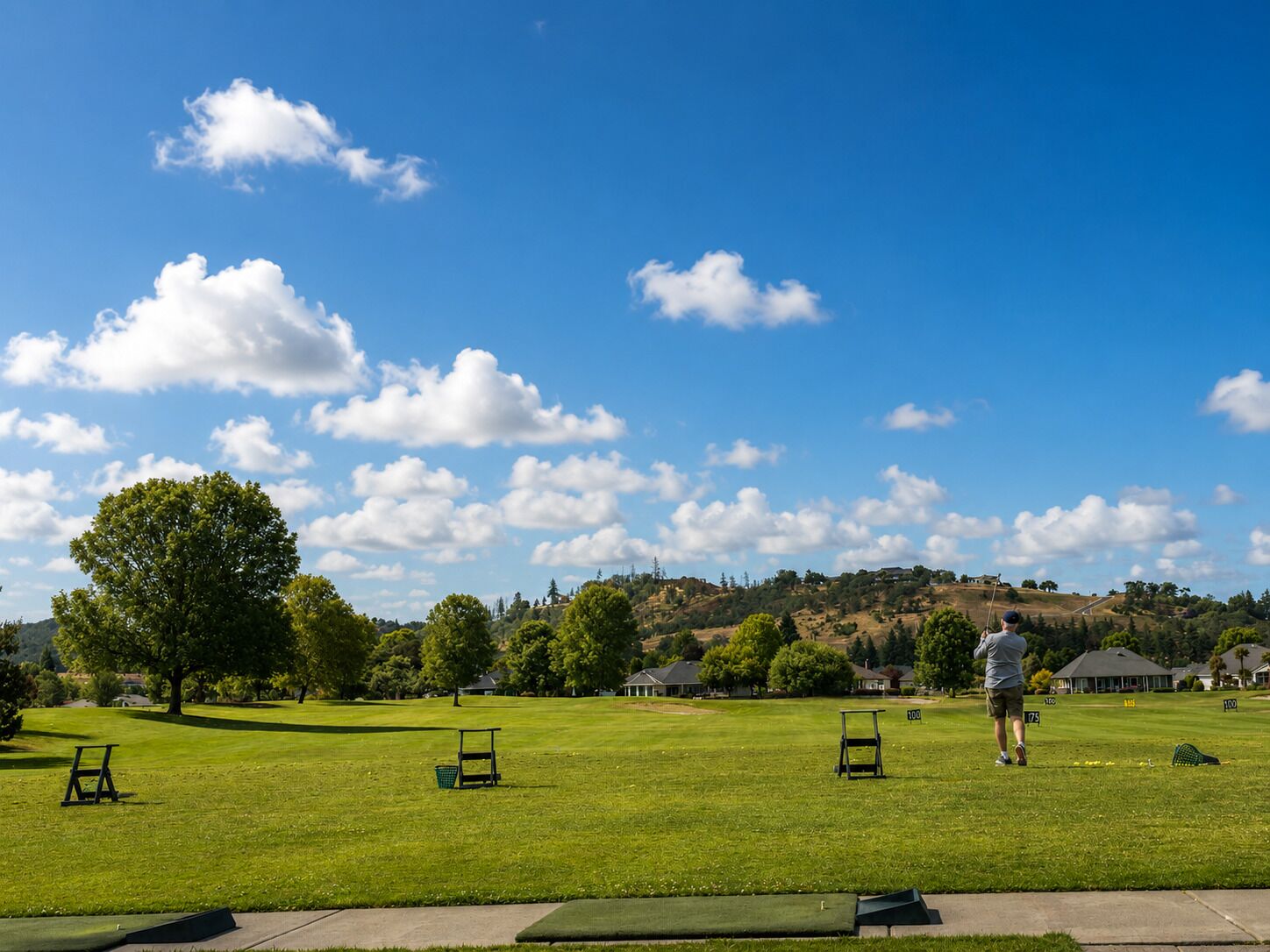 En golfbane med klar himmel, et stort træ og en person, der spiller golf.