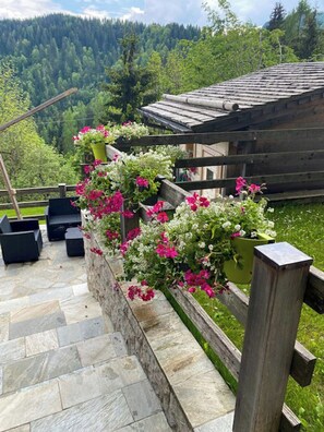 Property grounds - Restored 19th century house with Dolomites view (Sauris di Sopra)