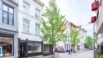 A street with buildings, a tree, benches, and a person walking.