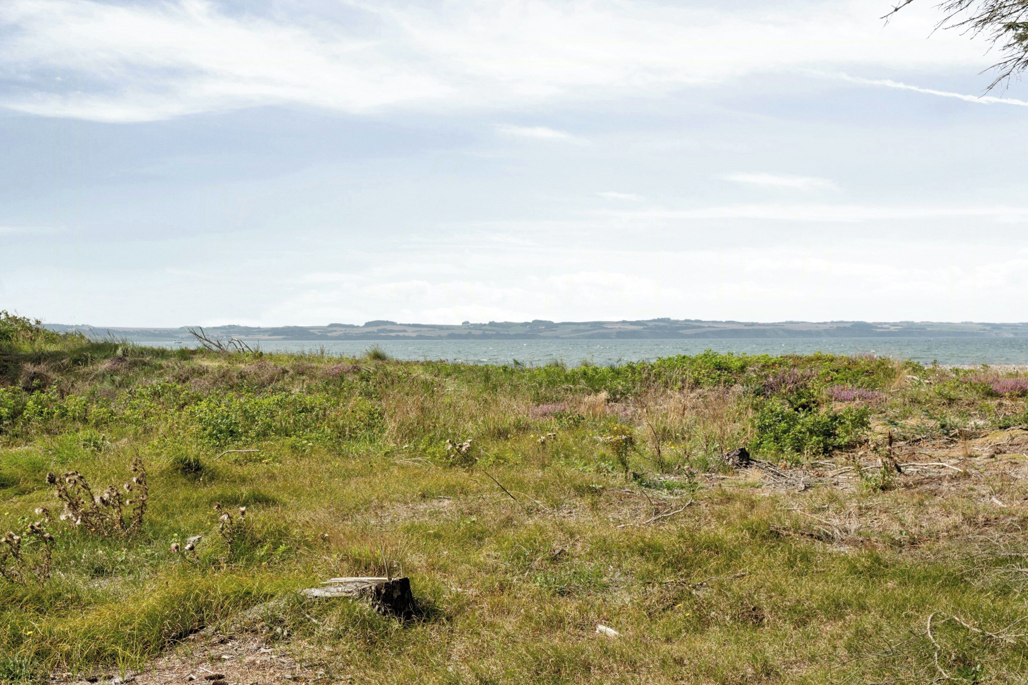 A coastal landscape with grassy terrain and a body of water in the distance.