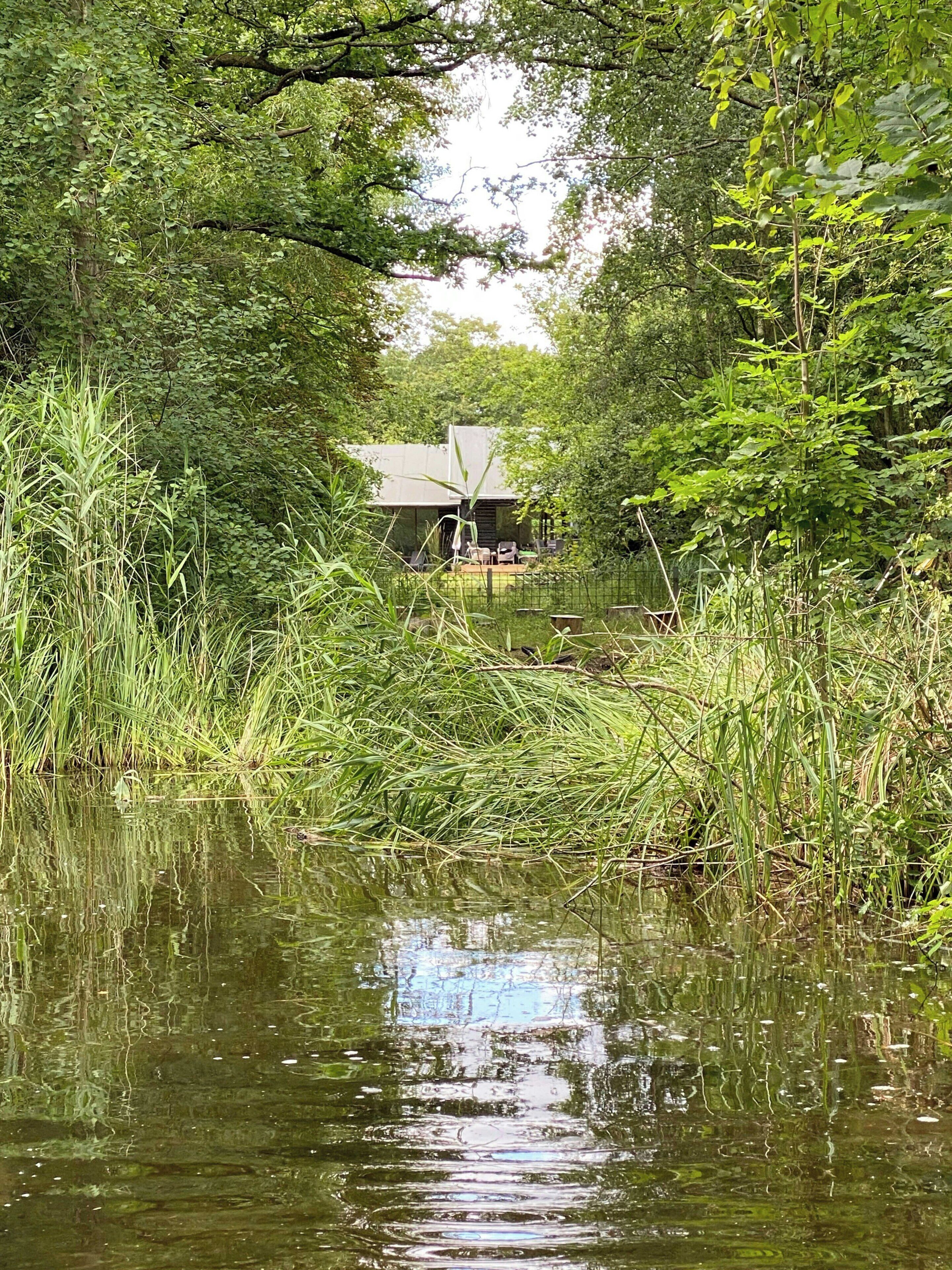 A house surrounded by dense greenery and a body of water.