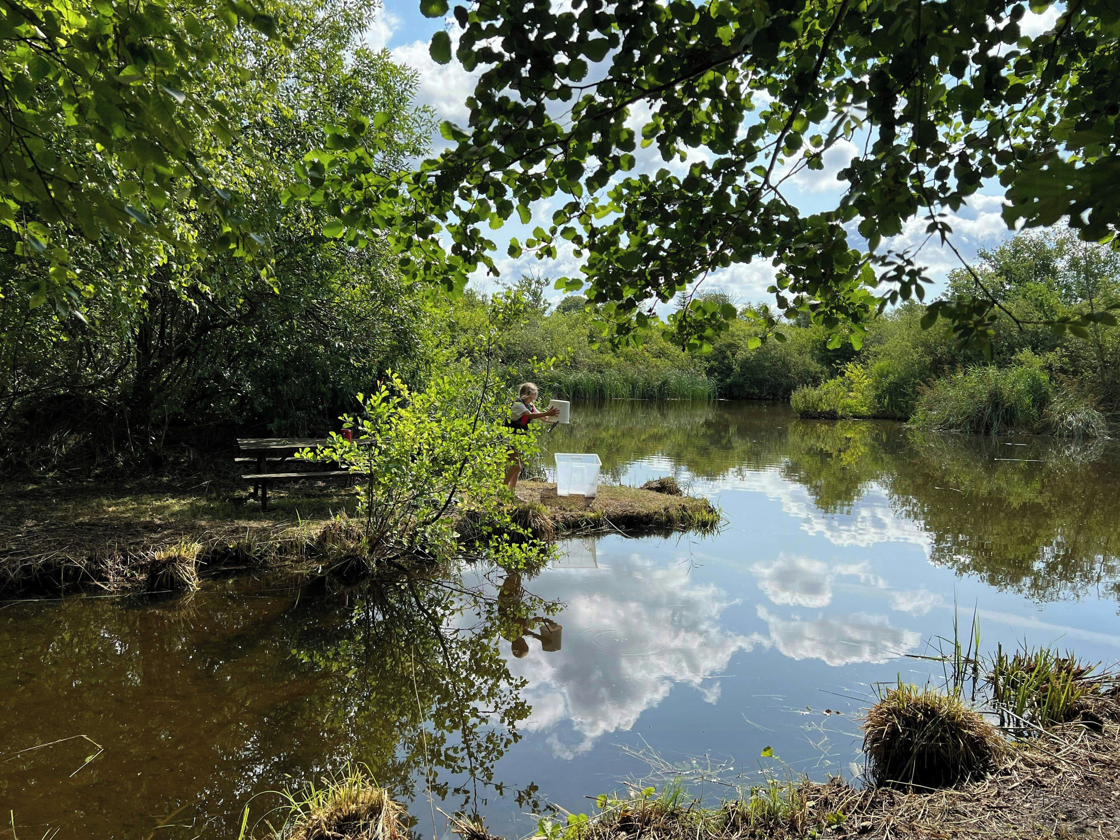 A serene riverside setting with a wooden bench and a picnic table, surrounded by lush greenery and a calm water body reflecting the sky.